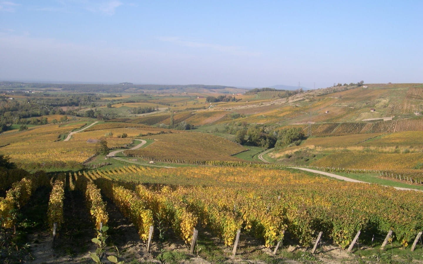 Domaine de la Renardière, Jean-Michel Petit