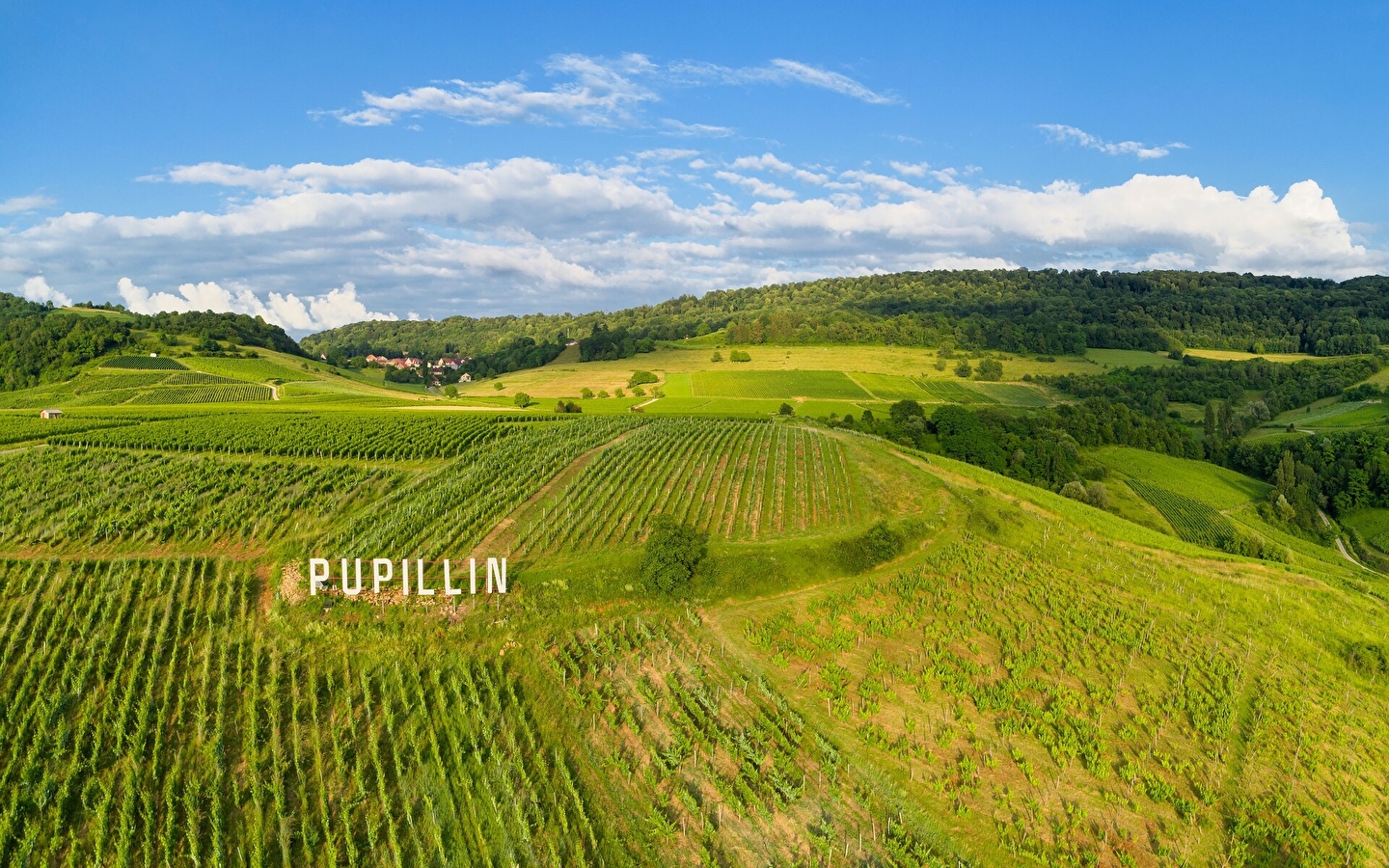 Circuit de Pupillin - 12N