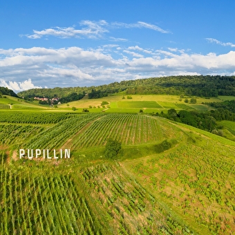Circuit de Pupillin - 12N - ARBOIS
