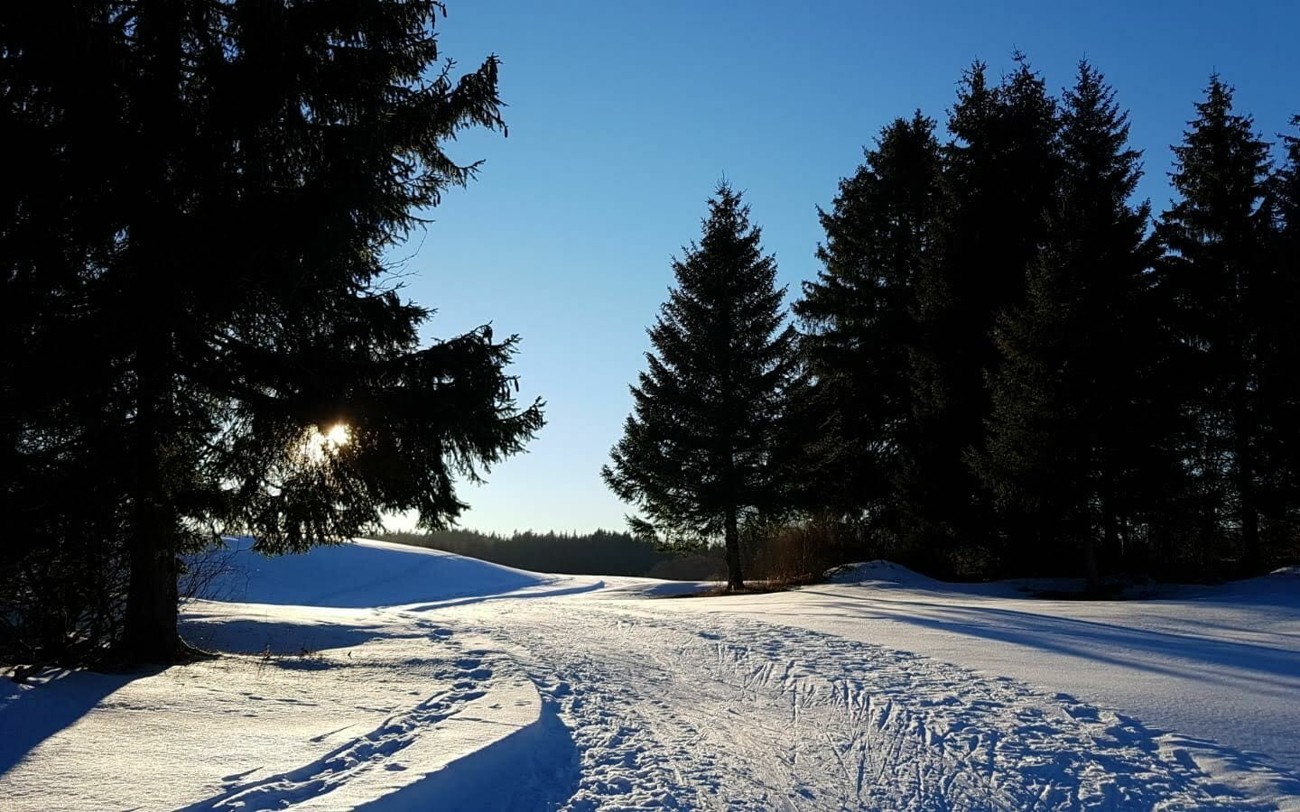 Apremont - Piste bleue de ski nordique