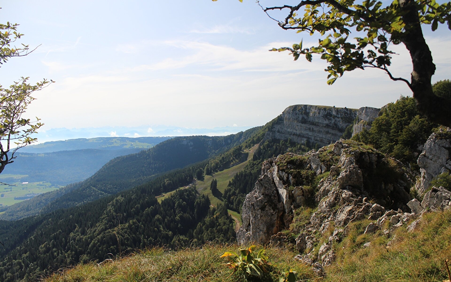 Le Mont d'Or - Trésor de biodiversité