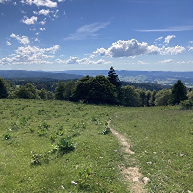 Sentier du Lac aux Crêtes du Mont d'Or