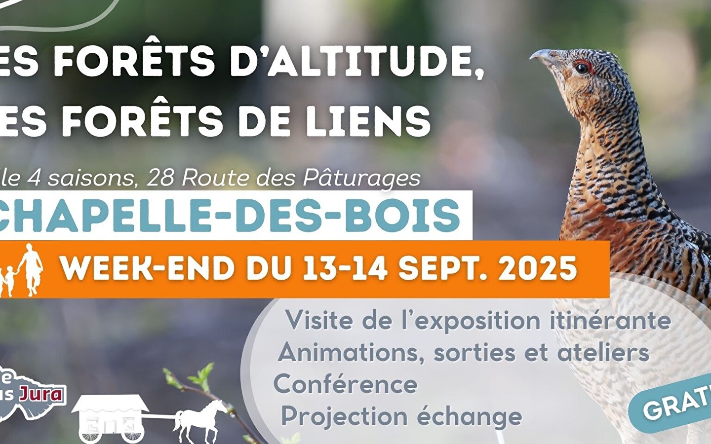 Les forêts d'altitude, des forêts de liens : expo, animations, projection