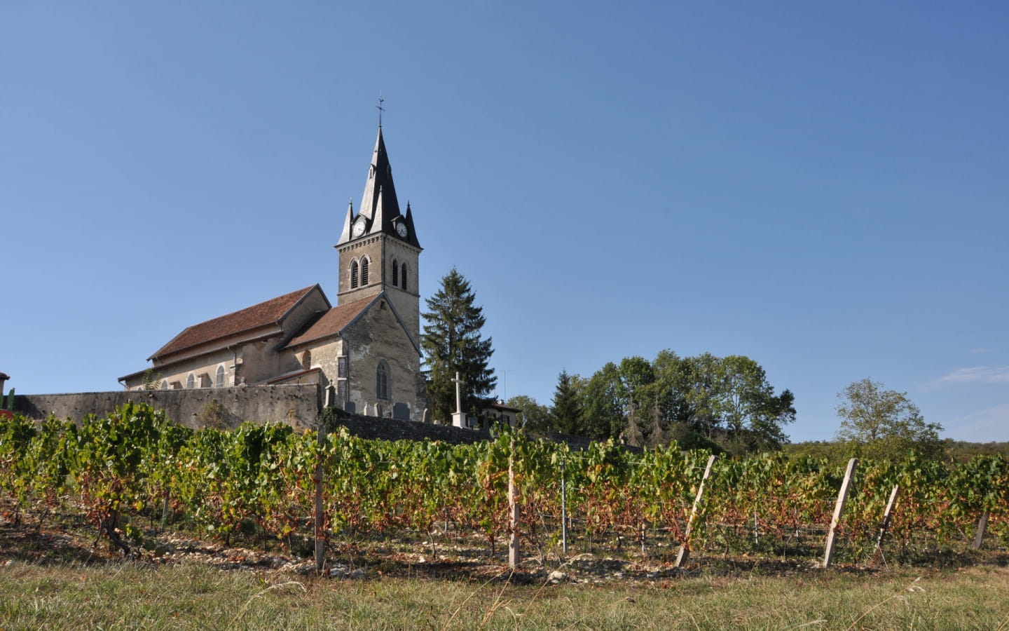 Rignat, histoire et patrimoine dans les vignes