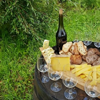 Balade oenologique à VTT - Jura Ride - ARBOIS