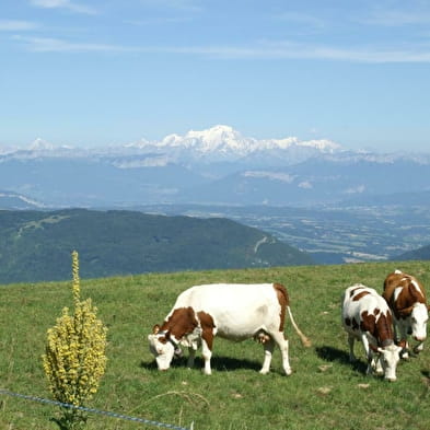 Massif du Grand Colombier