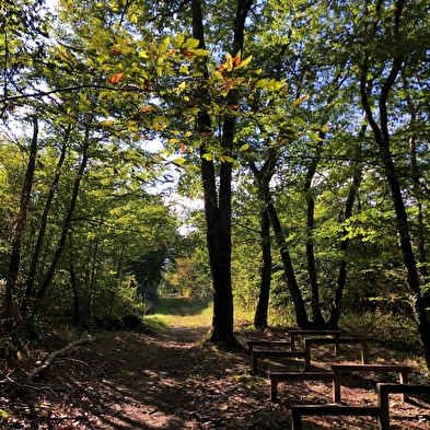 Circuit de randonnée pédestre : Le circuit du Sorbier