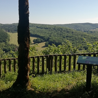 Tour du Monniot