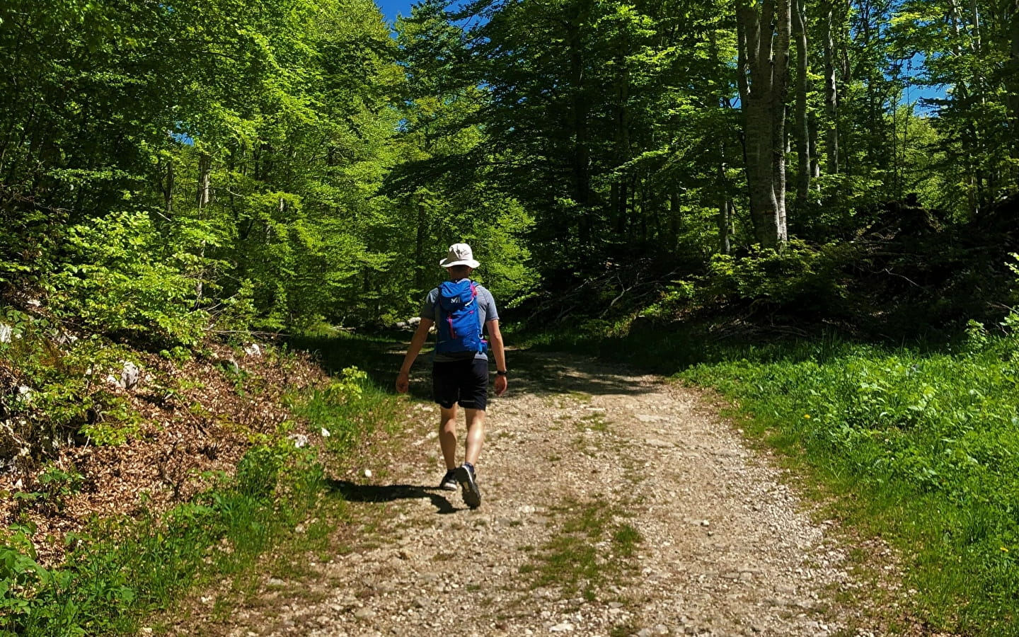 Le Plateau de Retord