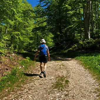 Le Plateau de Retord - HAUT VALROMEY