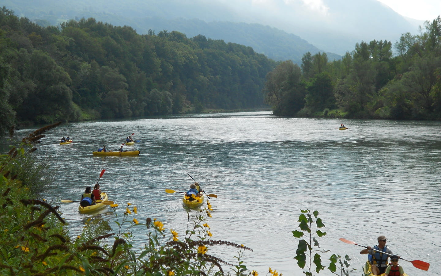 Canoë kayak : descente du Vieux Rhône - La Bivouac 'Eau Lac