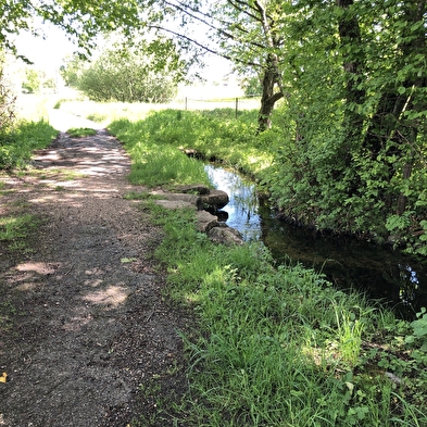Promenade à travers les écuries (Arbère-Grilly)