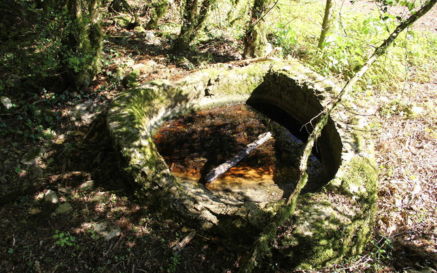 Source de Tapoira