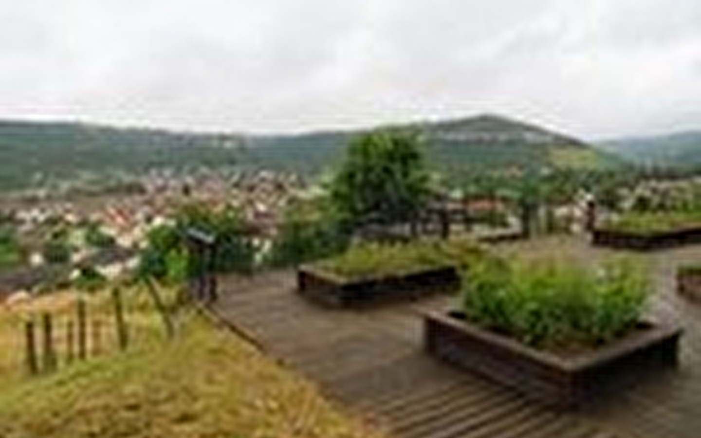 Verger Conservatoire