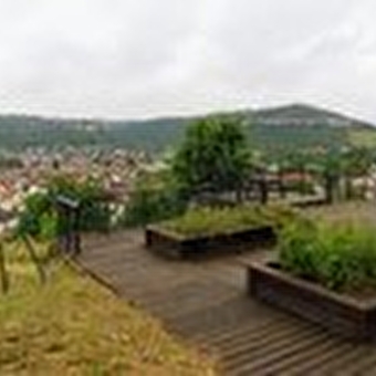 Verger Conservatoire - ORNANS