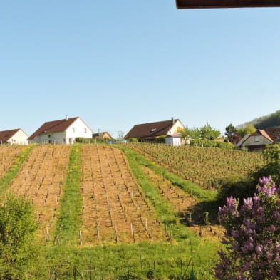 Gîte des Vignes