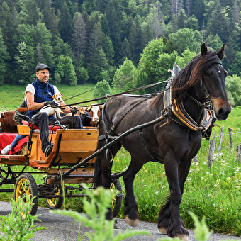Balade en calèche privatisée, fin de journée l'été - MIJOUX