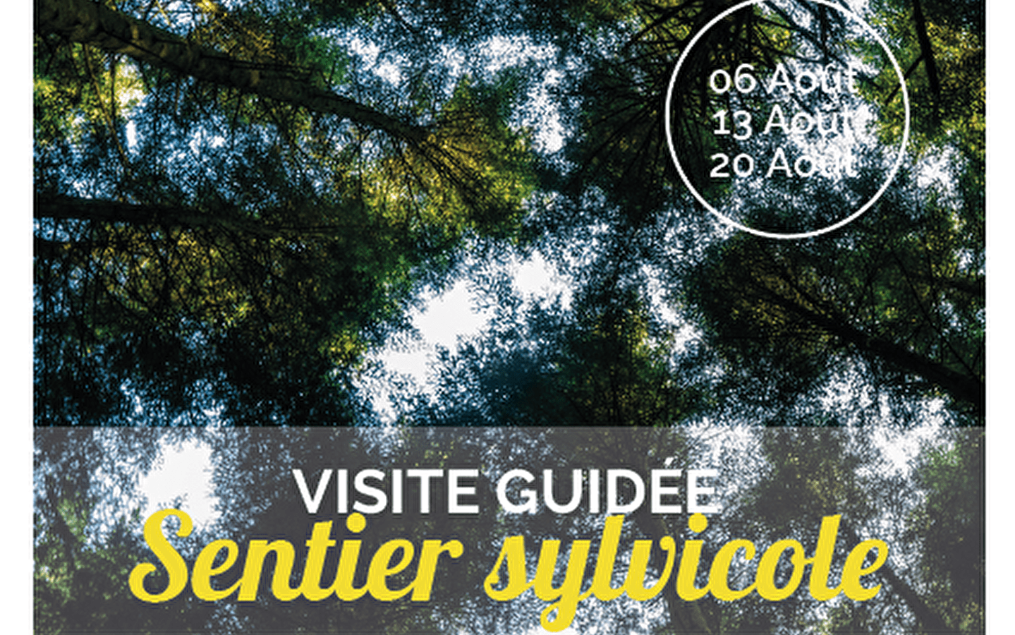 Visite guidée du sentier sylvicole d'Orgelet