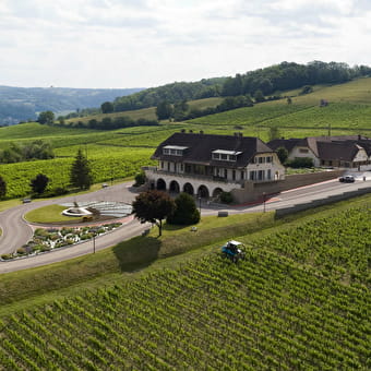 Domaine de la Pinte - ARBOIS