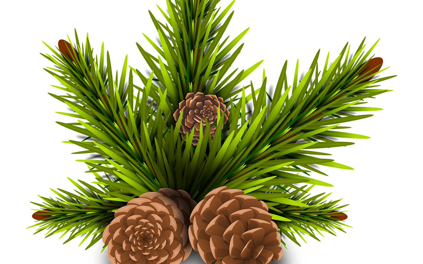 Les marchés Montagn'Arts