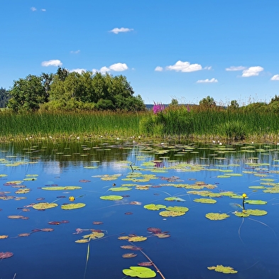 Lac de Remoray