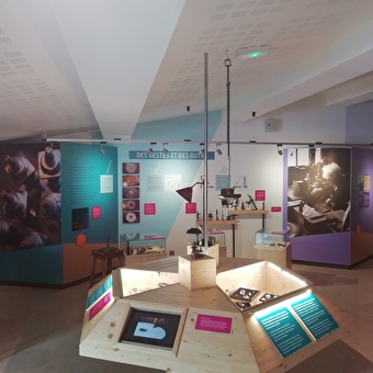 Lapidaire : Artisan de l'éclat et de la couleur - LAMOURA