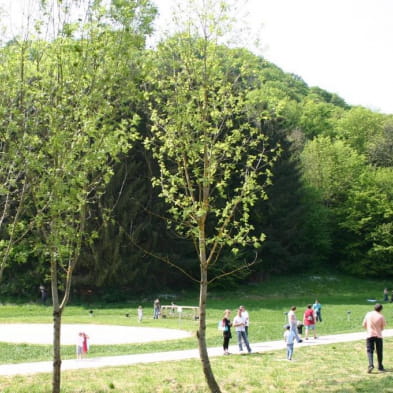 Aire de pique-nique au bord du Doubs