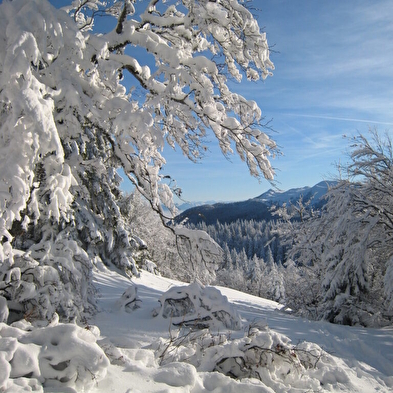 Sortie raquettes au chalet de la Poutouille