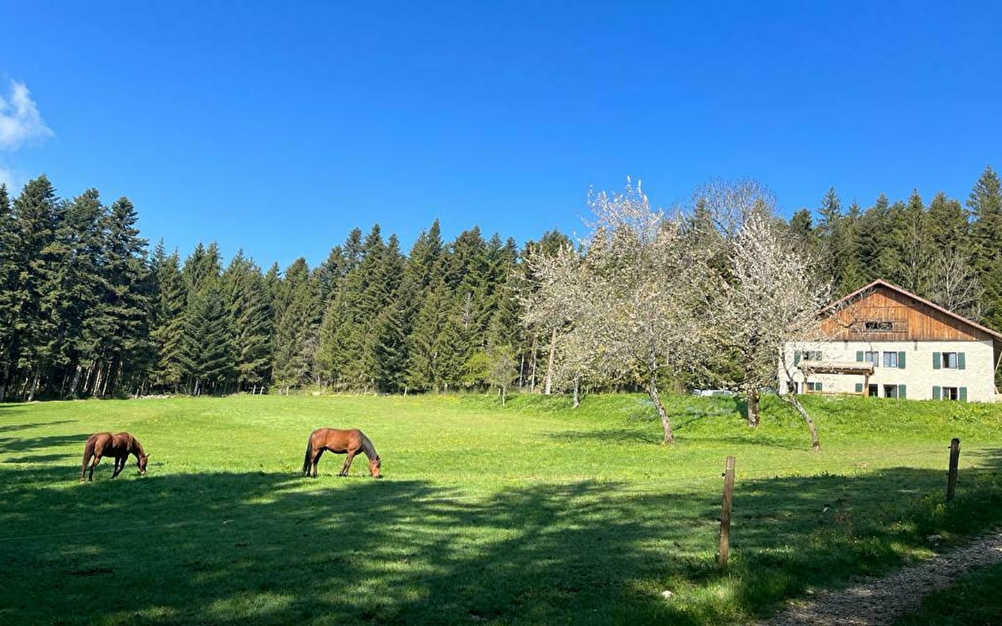 La Ferme des Brosses