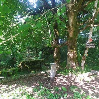 Du coin d'amont au coin d'aval