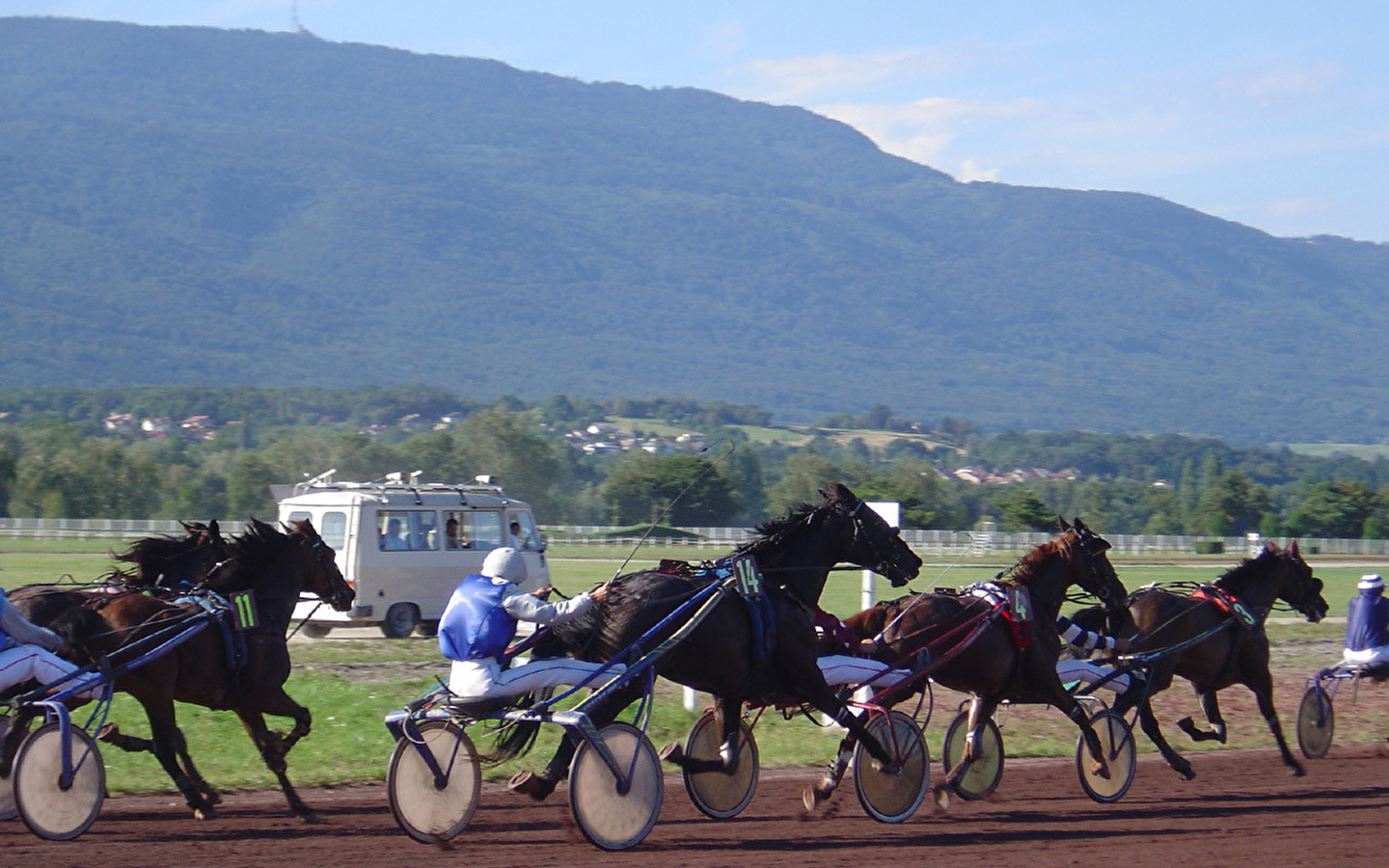 Découvrez les coulisses de l'hippodrome et l'univers fascinant des courses hippiques