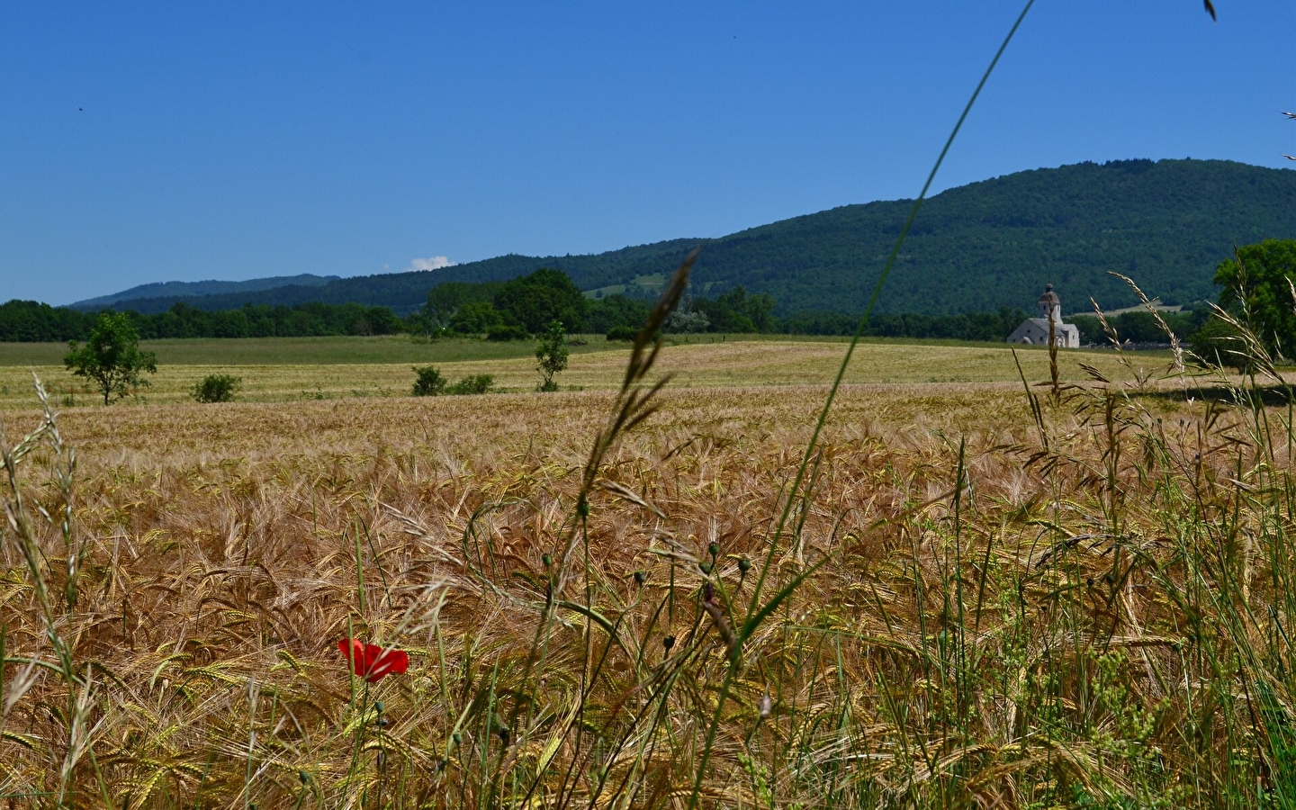 Boucle 17 : Vallée du Suran