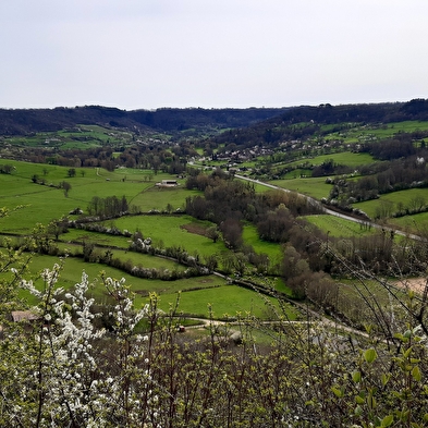 La Côte de Mancy