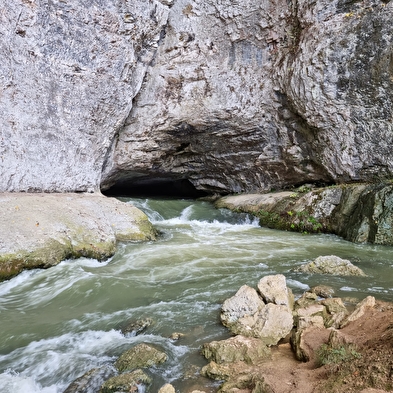 Sentier Courbet 5 : Le Lison et ses sources