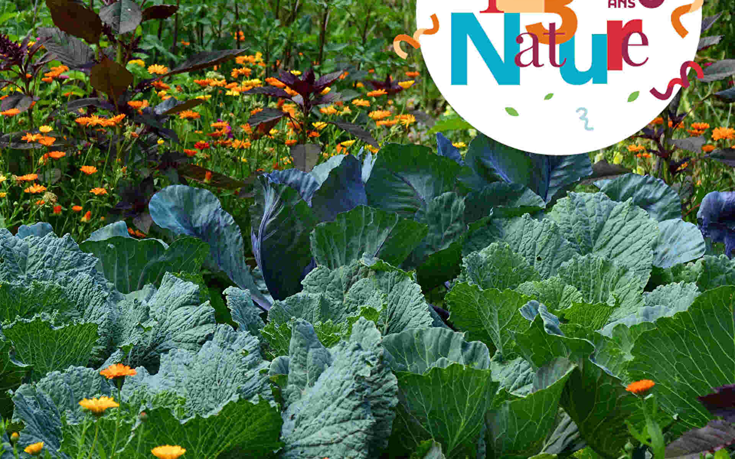 ATELIER FAMILLE 123 NATURE : FLEURS DU JARDIN AU BOUQUET