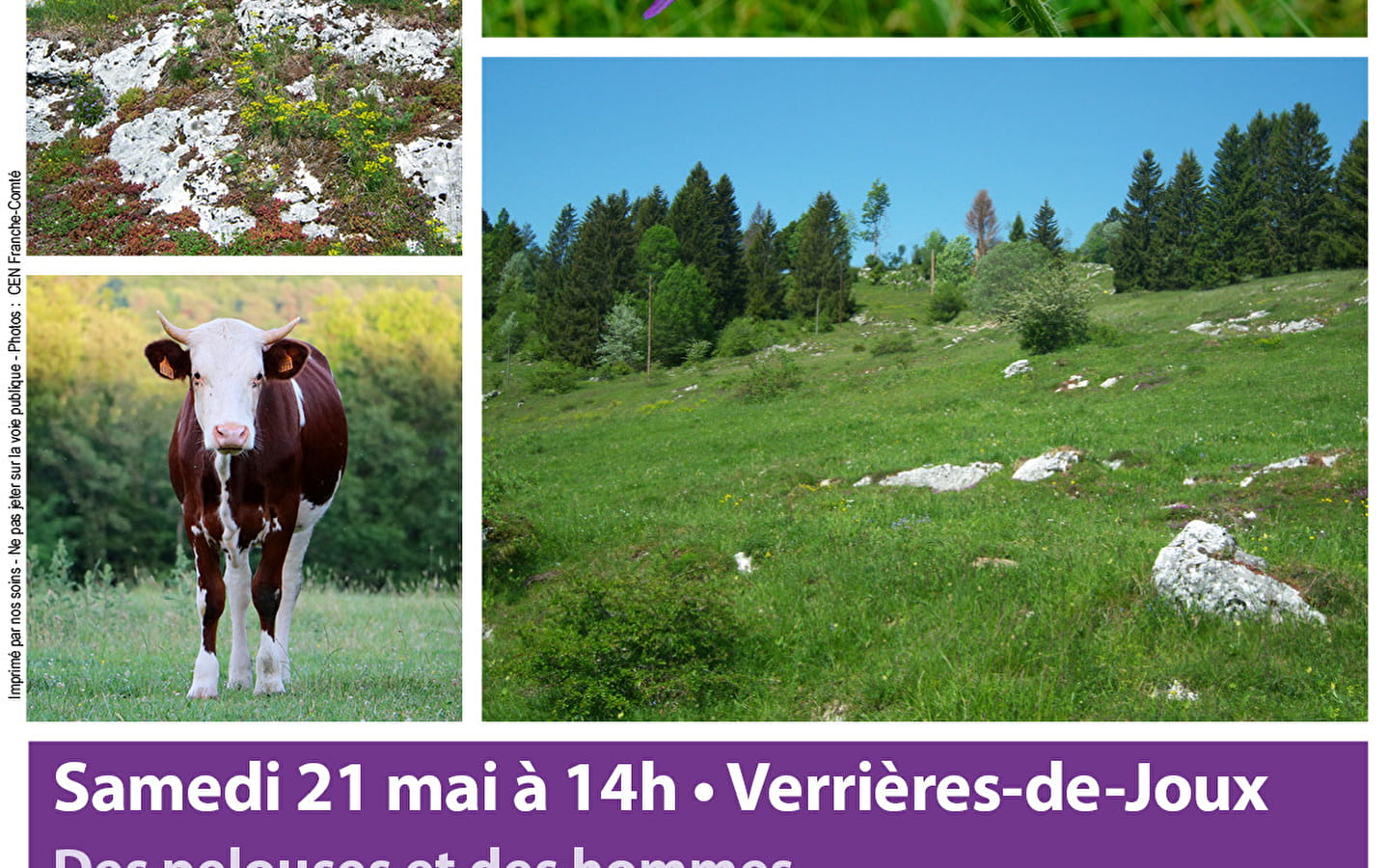 Fête de la nature - Des pelouses et des hommes