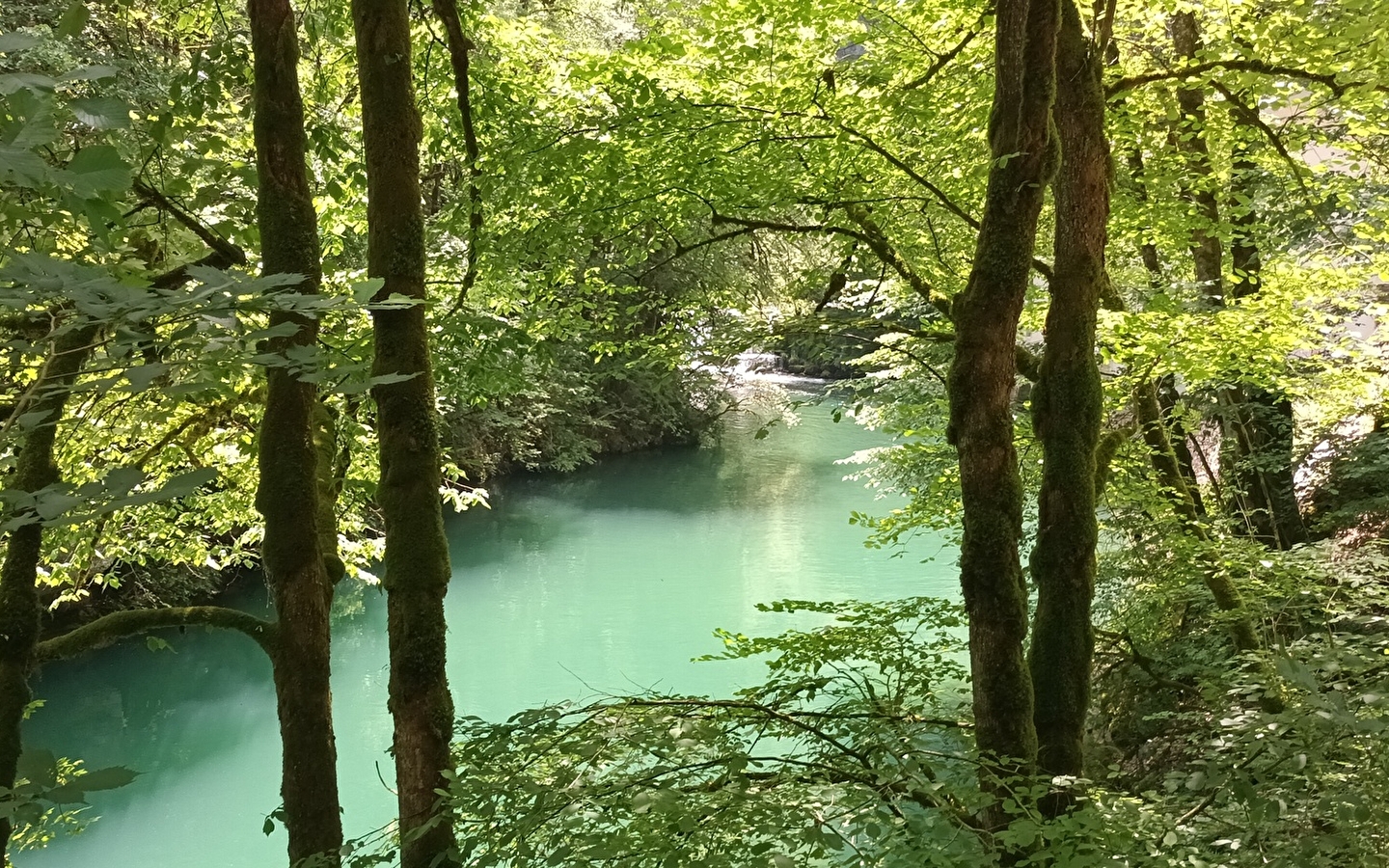 Aiguillons de Brasse
