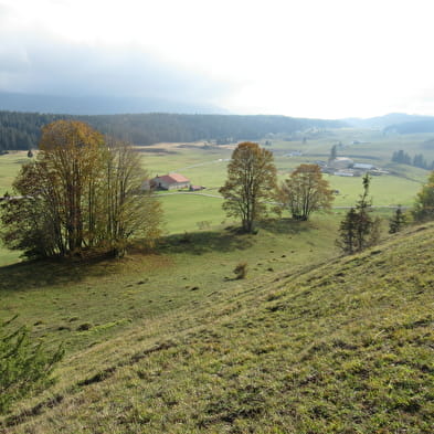 Trek-Découverte des Hautes-Combes du Jura avec Lucas Humbert