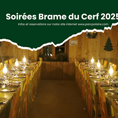 Soirées Brame du Cerf 2025