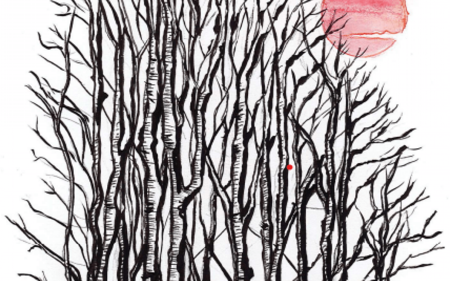 L'ASCAP Bonsaï club: exposition Bonsaï Balade en forêt 2022
