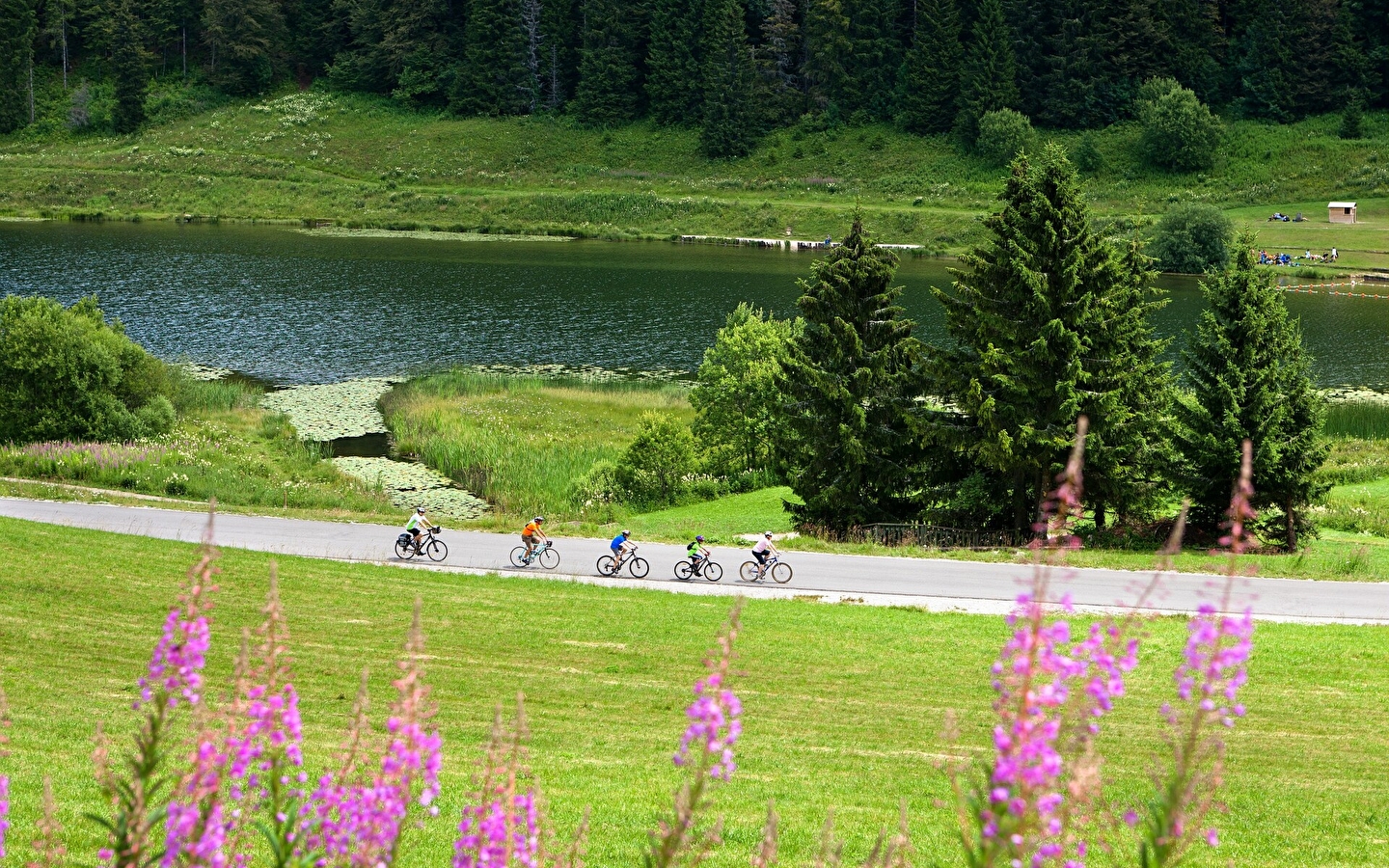 Boucle 10 : Escapade dans le Pays du Haut-Jura