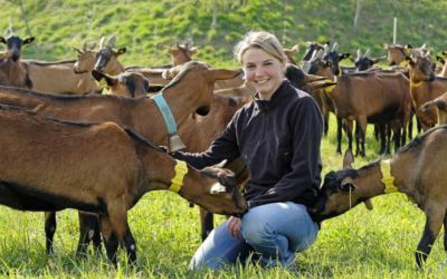 La ferme de Nathalie