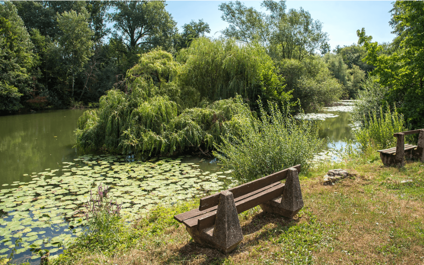 Sentier de Palise