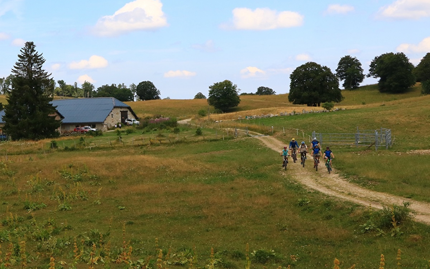 Parcours VTT 15 noir - Le grand tour du plateau de Retord - Espace FFC Ain Forestière