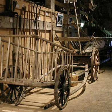 Fabrique ton pain cuit au four à bois !