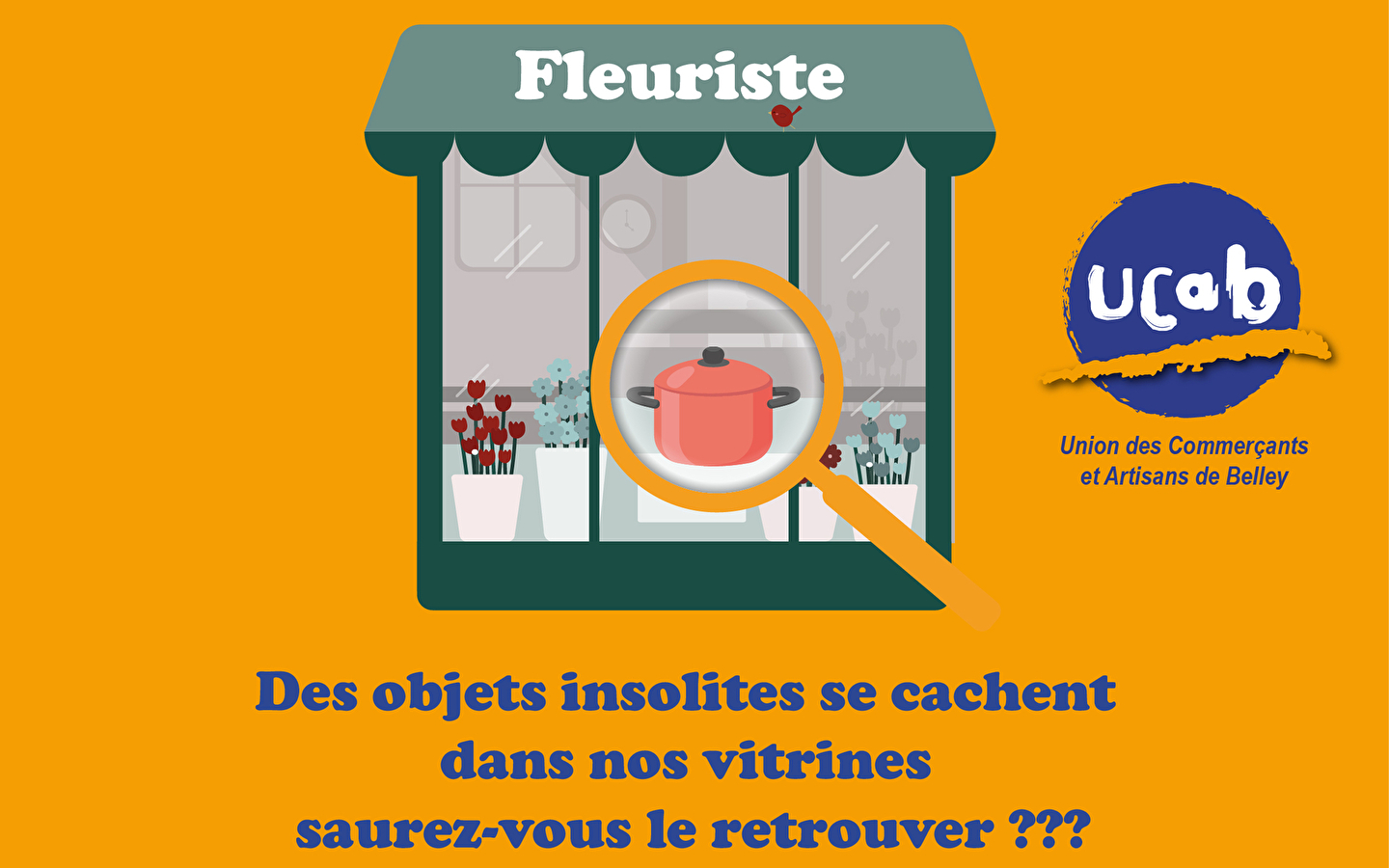 Jeu des anomalies de vitrine à Belley