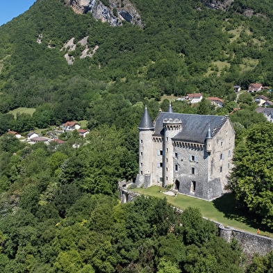 Visite guidée du bourg ancien de Culoz et du château de Montveran
