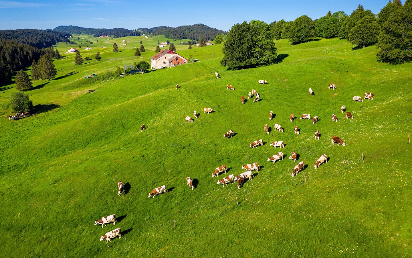 Les Hautes Combes - 1R