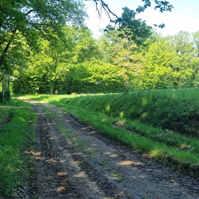 Circuit VTT n°24 (rouge) - La St Martin