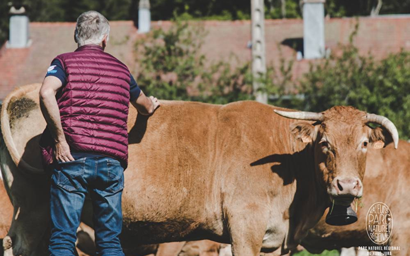 GAEC Piet / Thouverez